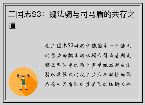 三国志S3：魏法骑与司马盾的共存之道